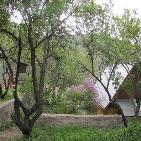 فيلا Guayacan في Refugio Coyoacan المظهر الخارجي الصورة
