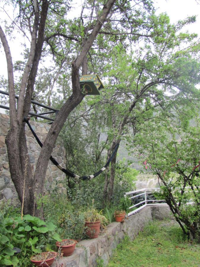 فيلا Guayacan في Refugio Coyoacan المظهر الخارجي الصورة