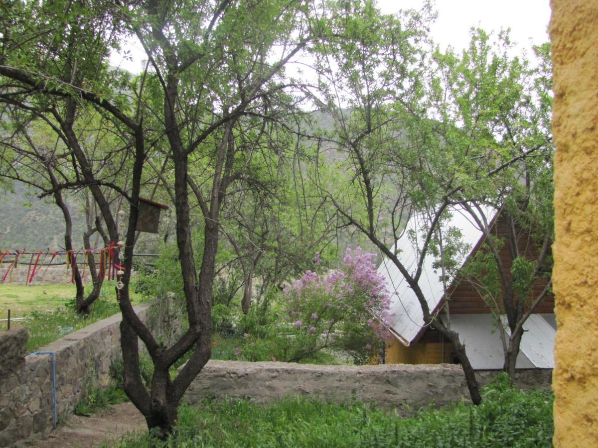 فيلا Guayacan في Refugio Coyoacan المظهر الخارجي الصورة